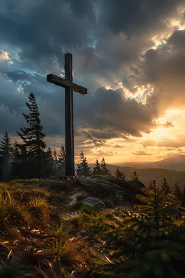 Wooden Cross on Stormlit Evergreen Hilltop