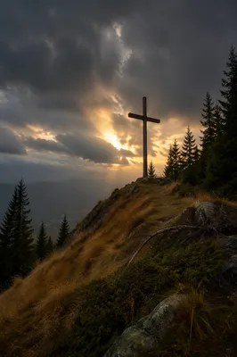 Weathered Cross on Evergreen Hilltop