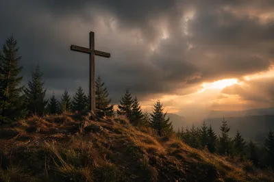 Weathered Cross on Evergreen Hilltop