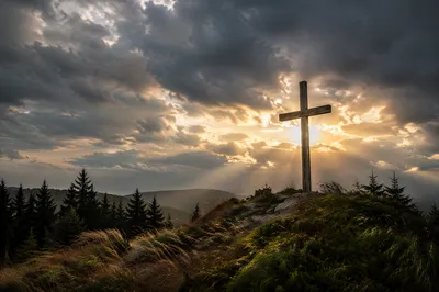 Weathered Wooden Cross Under Dramatic Evergreen Sky