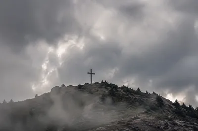 Weathered Cross on Misty Evergreen Hilltop
