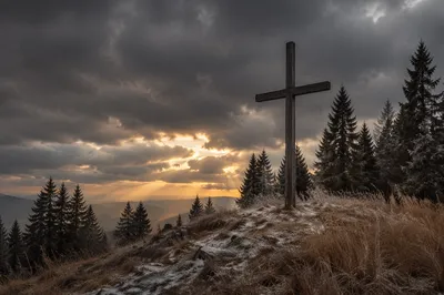 Weathered Cross on Evergreen Hilltop