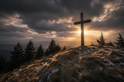 Weathered Cross on Evergreen Hilltop