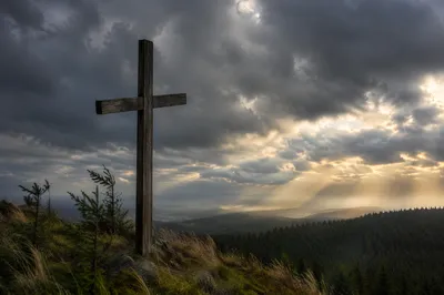 Weathered Cross on Evergreen Hilltop