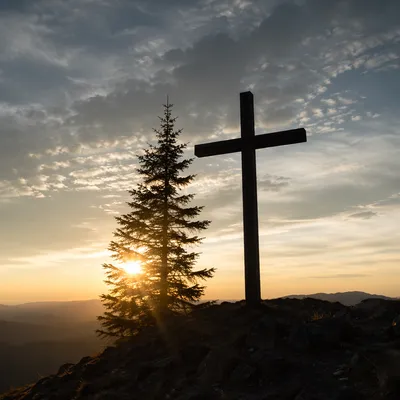 Wooden Cross Silhouette at Evergreen Sunrise