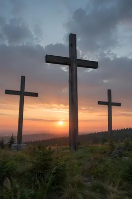Three Wooden Crosses at Evergreen Sunrise