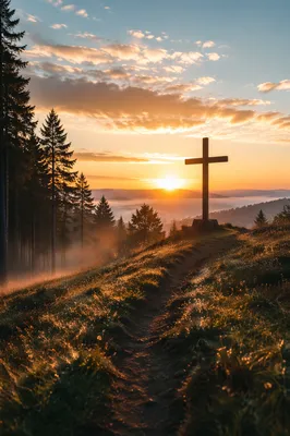 Wooden Cross Silhouette at Evergreen Sunrise