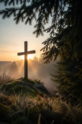 Wooden Cross at Misty Evergreen Sunrise