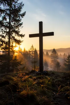 Wooden Cross Silhouette at Evergreen Sunrise