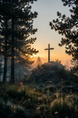 Wooden Cross at Evergreen Sunrise