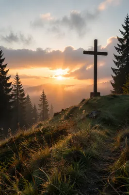 Wooden Cross at Misty Evergreen Sunrise