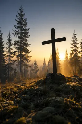 Wooden Cross Silhouette at Evergreen Sunrise