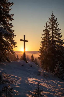 Wooden Cross Silhouette at Evergreen Sunrise