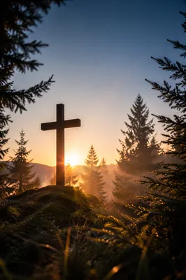 Wooden Cross Silhouette at Evergreen Sunrise