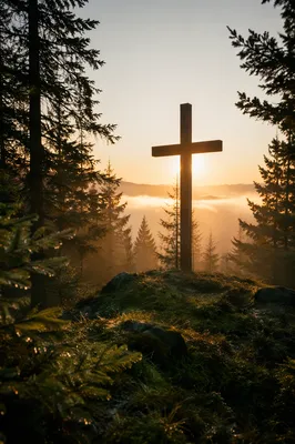 Wooden Cross Silhouette at Evergreen Sunrise