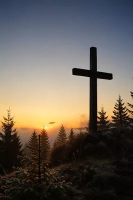 Wooden Cross Silhouette at Evergreen Sunrise