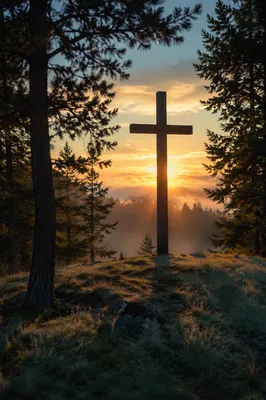 Wooden Cross at Evergreen Sunrise