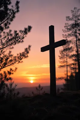 Wooden Cross Silhouette at Evergreen Sunrise