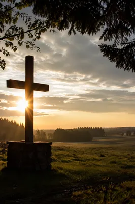 Wooden Cross Silhouette at Evergreen Sunrise