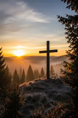 Wooden Cross Silhouette at Evergreen Sunrise