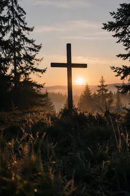 Wooden Cross Silhouette at Evergreen Sunrise