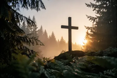 Wooden Cross Silhouette at Evergreen Sunrise