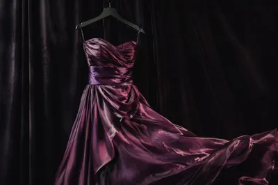 Elegant Plum Evening Gown on Hanger