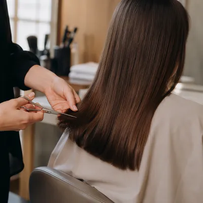 Elegant Salon Haircut with Silver Scissors
