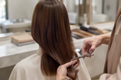 Elegant Hair Salon Styling With Silver Scissors