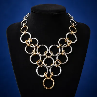 Elegant Gold Silver Ring Necklace