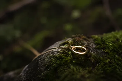 Elegant Gold Ring Necklace in Woodland Moss
