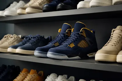 Organized Sneaker Collection on Modern Shelves