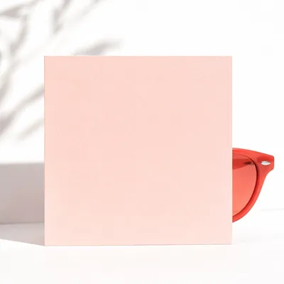 Coral Sunglasses Behind Blush Summer Card
