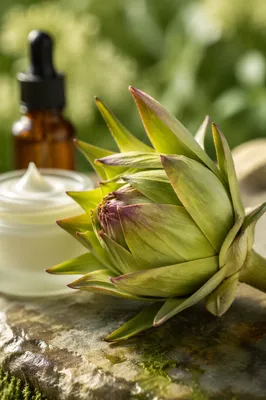 Botanical Skincare Ingredients in Garden Light