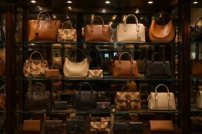 Luxury Handbag Boutique Shelf Display