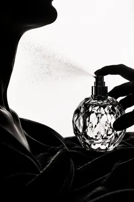 Elegant Perfume Bottle on Black Velvet