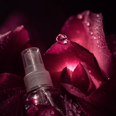 Rose Water Spray with Pink Petals