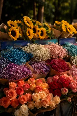 Vibrant Mixed Flower Bouquets at Market