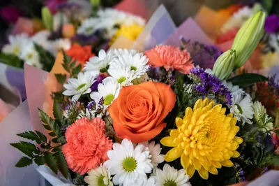 Colorful Fresh Flower Bouquet Close-Up