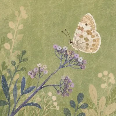 Pale Butterfly on Purple Wildflowers