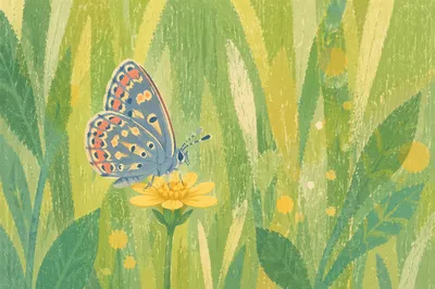 Butterfly on Yellow Wildflower in Garden