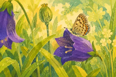 Butterfly Resting on Violet Garden Flower