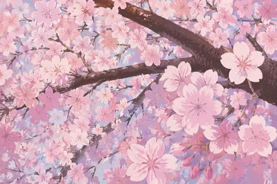 Pale Pink Cherry Blossoms in Spring Morning