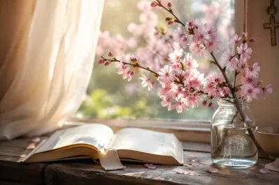 Cherry Blossom Branch in Glass Vase
