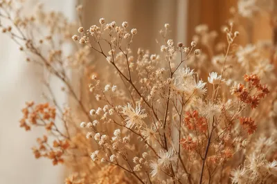 Boho Dried Flowers in Warm Neutral Tones