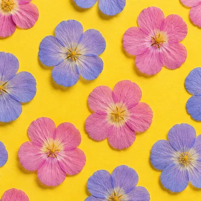 Seamless Pressed Floral Pattern on Lemon Yellow