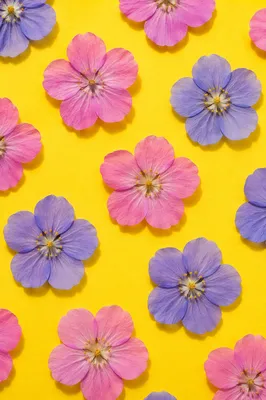 Seamless Pressed Flower Folk Art Pattern