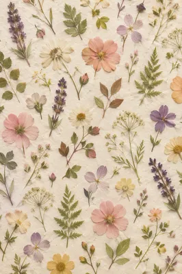 Pressed Wildflower Seamless Botanical Pattern