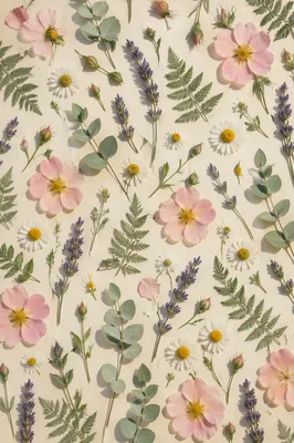 Seamless Spring Botanical Floral Pattern