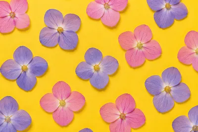 Seamless Pressed Floral Pattern on Lemon Yellow